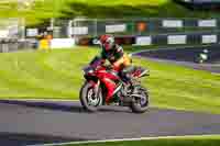 cadwell-no-limits-trackday;cadwell-park;cadwell-park-photographs;cadwell-trackday-photographs;enduro-digital-images;event-digital-images;eventdigitalimages;no-limits-trackdays;peter-wileman-photography;racing-digital-images;trackday-digital-images;trackday-photos